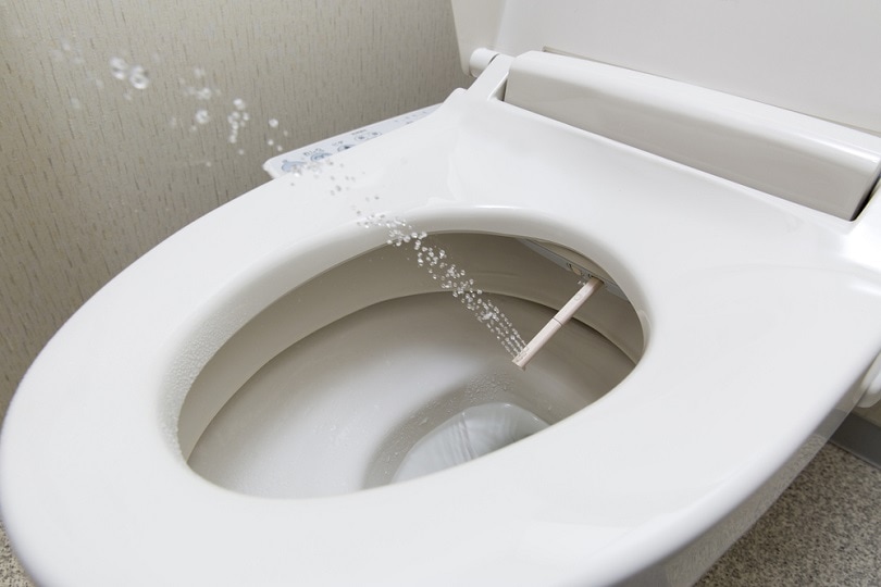 Japanese toilet_kazoka_shutterstock