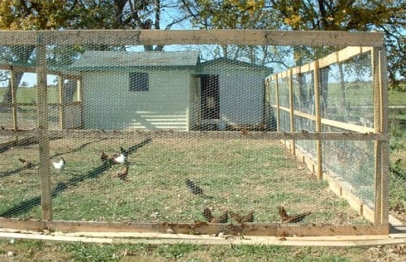 Judy’s Free Pallet Chicken Coop by Backyard Chickens