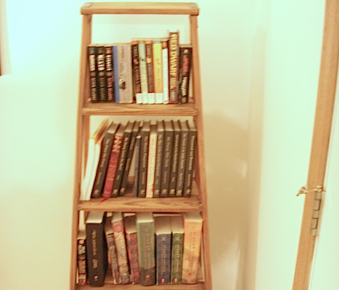 Ladder bookshelf project