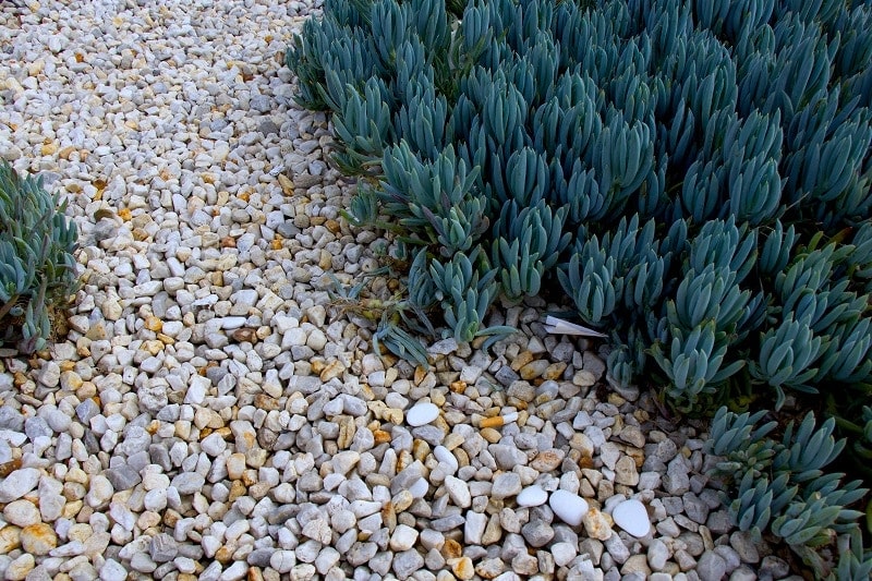Landscaping Stone