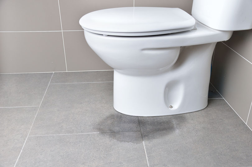 Leakage of water from a toilet_cunaplus_shutterstock 2