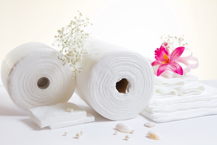 Luxury Toilet Paper_shutterstock_Eillen