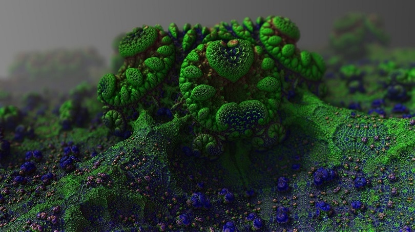 Mold