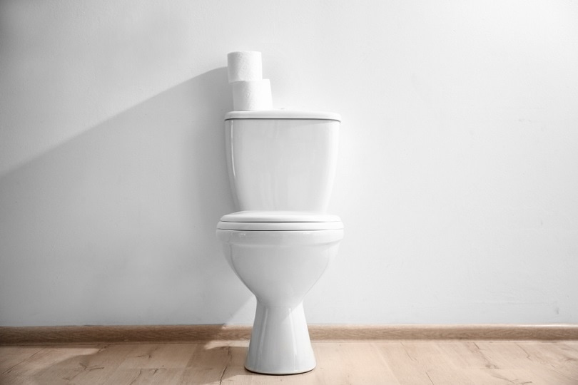 New ceramic toilet bowl_New africa_shutterstock