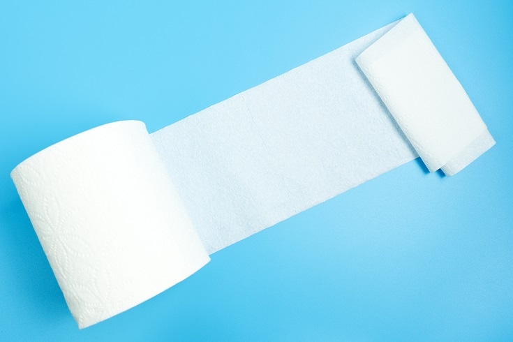 One Ply Toilet Paper_shutterstock_Kenishirotie