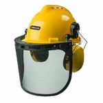 Oregon chainsaw helmet