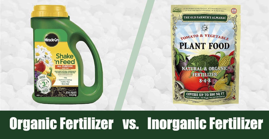 Organic vs. Inorganic Fertilizer