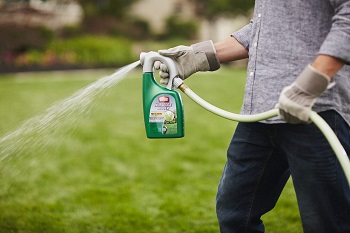 Ortho Nutsedge Killer for Lawns Ready-To-Spray,