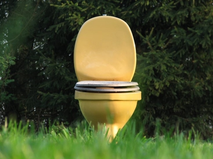Outdoor Toilet