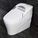 Ove Decors Smart Bidet