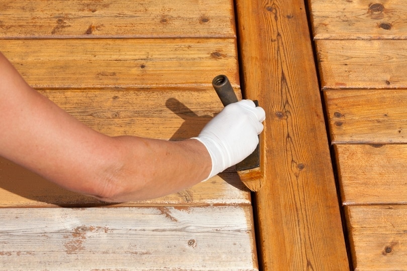 Painter staining deck