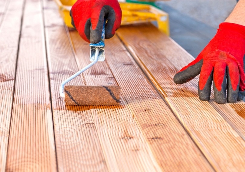 Painting a terrace board_Dagmara_K_shutterstock