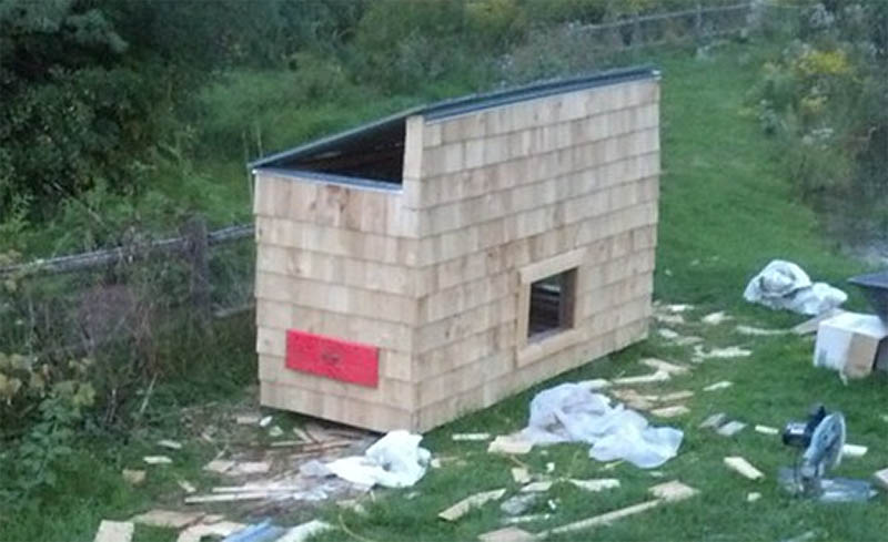 Pallet Chicken Coop by The Homesteading Boards
