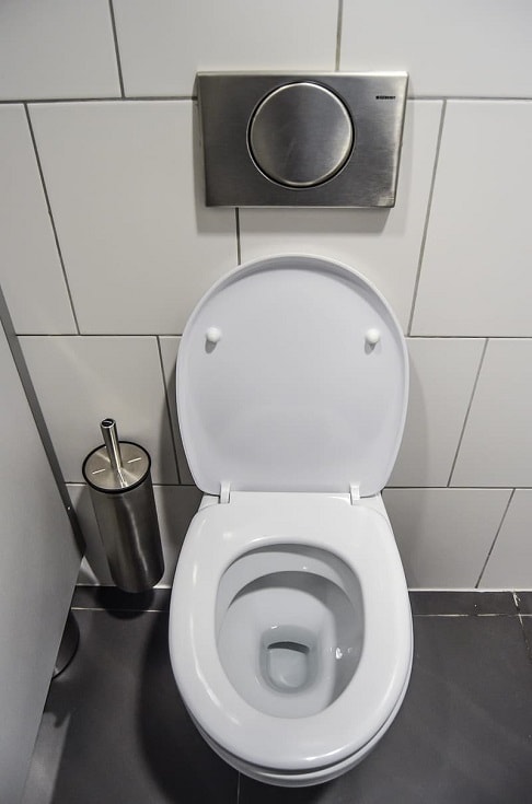 Plastic Toilet Seat