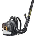 Poulan Pro Gas Backpack Leaf Blower