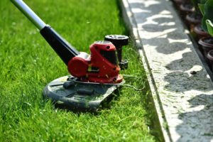 PowerSmart Lithium-Ion Cordless Edger