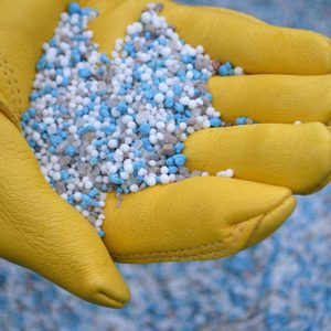 Preen 2164179 One Lawncare granules