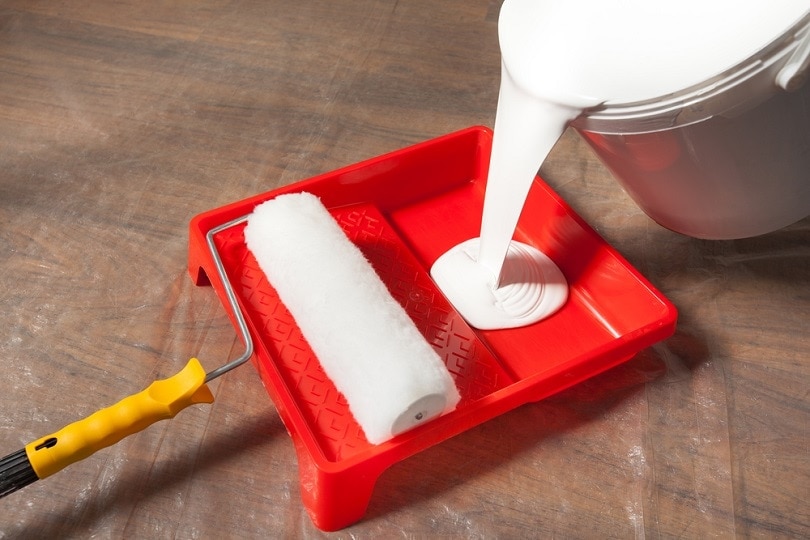 Preparing for painting_omphoto_shutterstock