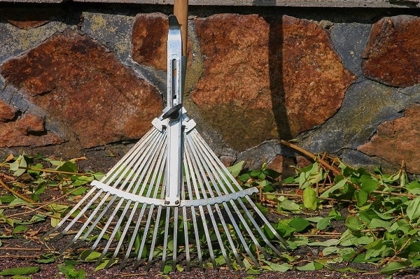 Rakes