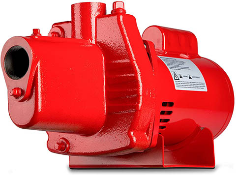 Red Lion RJS-100-PREM 602208 Shallow Jet Pump