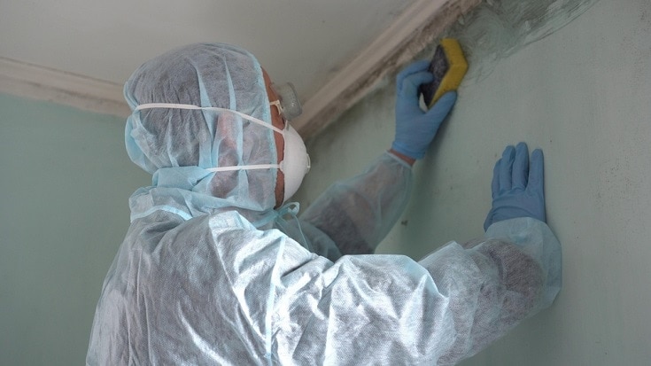 Removing Mold 