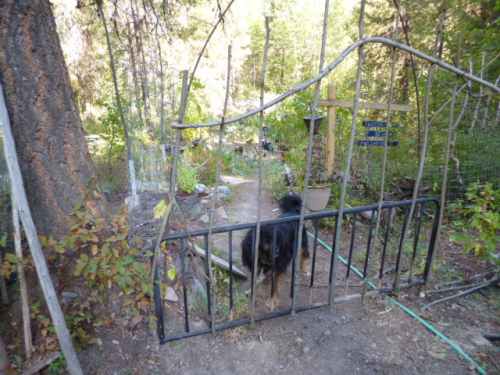 Rustic twig gate