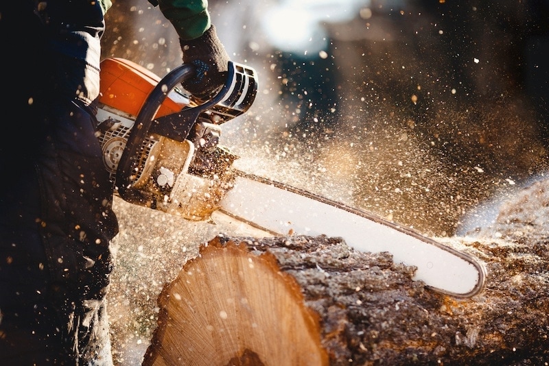 Chainsaw cutting log