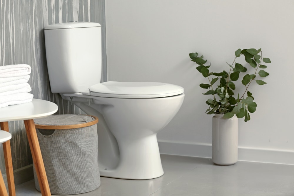 Shop Toilet