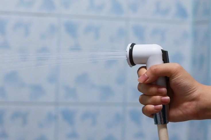 Spraying Bidet_shutterstock_Vasin Hirunwiwatwong
