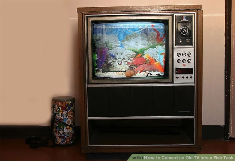 TV Aquarium