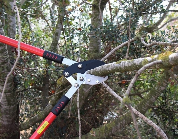 Tabor Tools