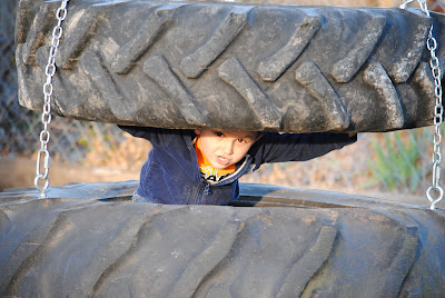 The Handsome Husband Tire Swing from Stone Cottage Adventures