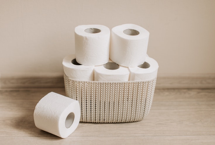 Toilet Paper holder