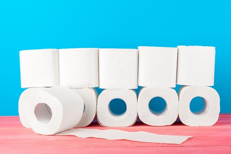 Toilet Papers_shutterstock_NewFabrika
