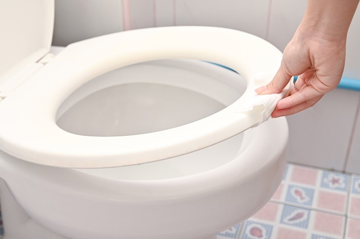 Toilet Seat_shutterstock_structuresxx