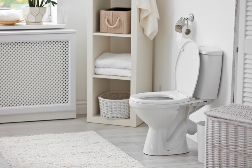 Toilet-bowl-in-modern-bathroom-interior