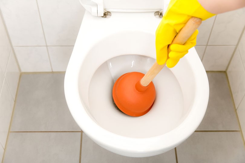 Toilet clogged - bathroom_Thomas von Stetten_shutterstock