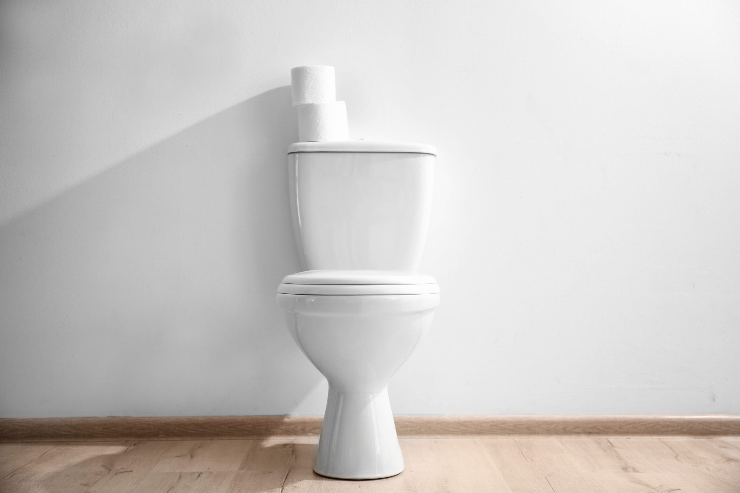 Toilet_shutterstock_New Africa