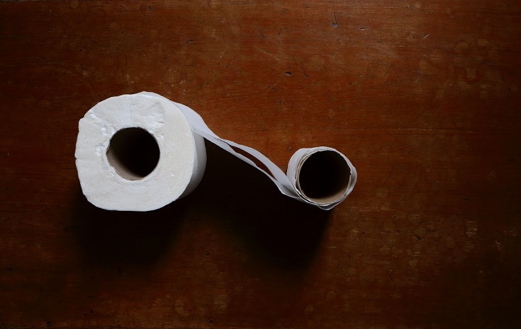 Two Ply Toilet Paper_shutterstock_evergreentree
