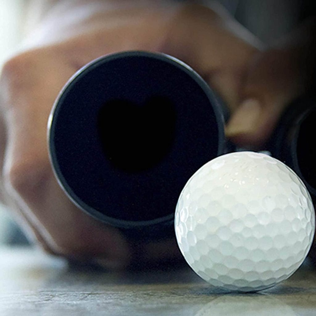 WORKSHOP Wet Dry Vacuum hose 2-1:2-Inch WS25021A with golf ball