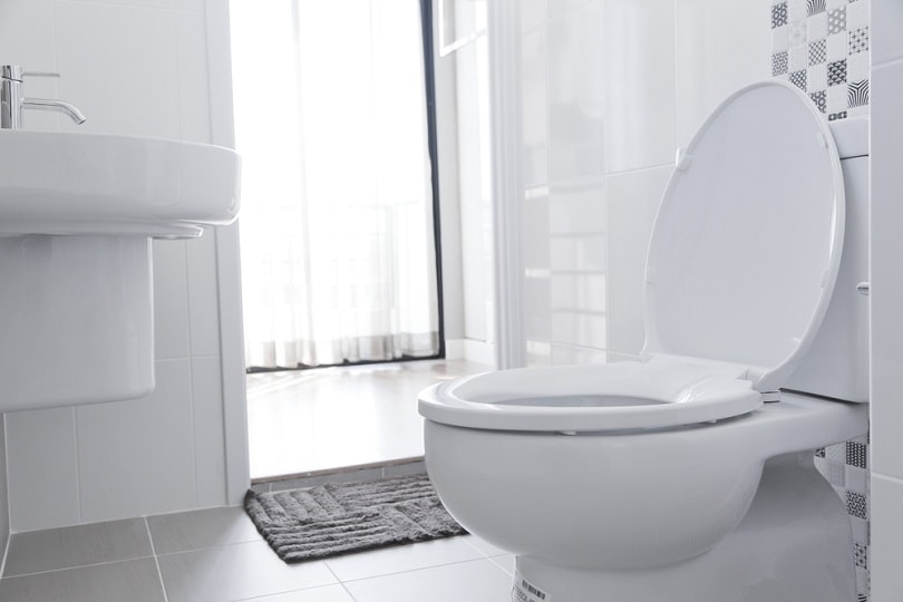 White toilet bowl_ben bryant_shutterstock