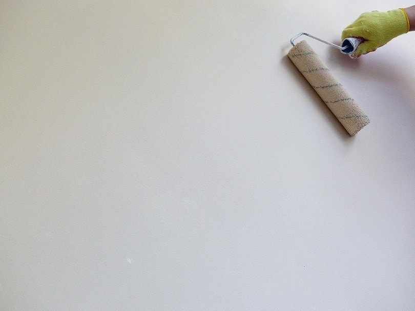 White wall