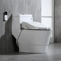 WoodBridge Luxury Bidet