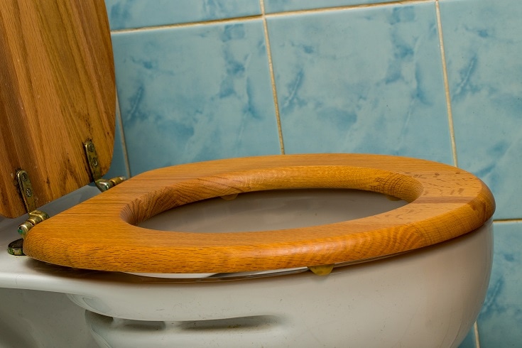 Woodedn Toilet Seat_shutterstock_yackers1