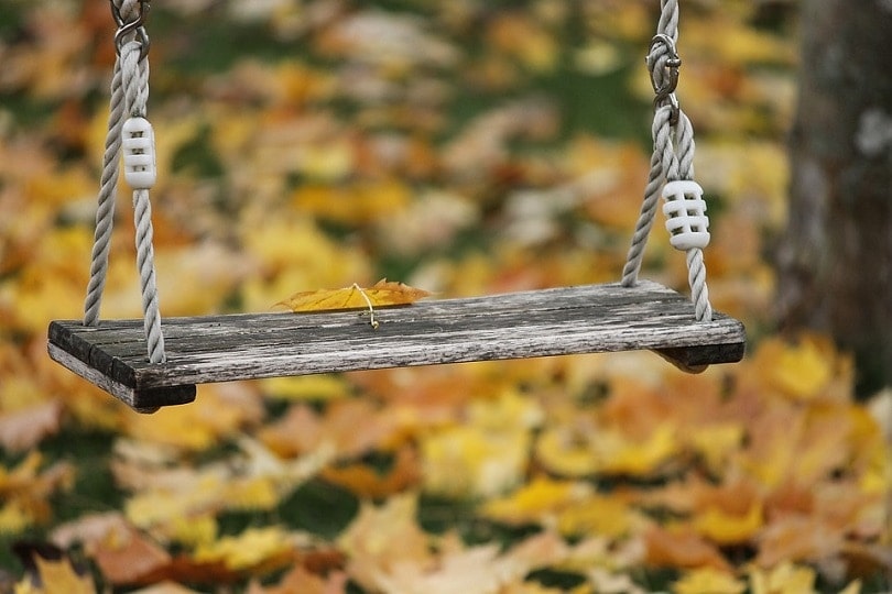 Wooden swing