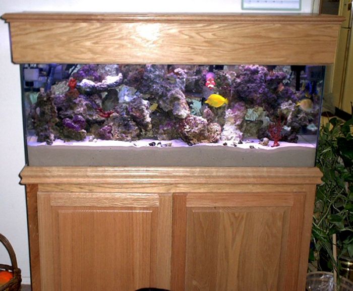 Wooden tank stand