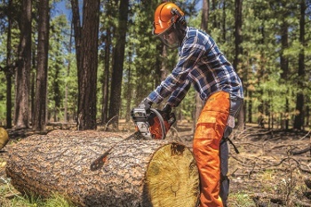best 20-inch chainsaw