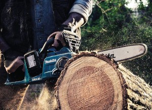 a cordless chainsaw