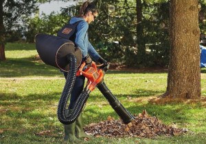 a cordless leaf blower