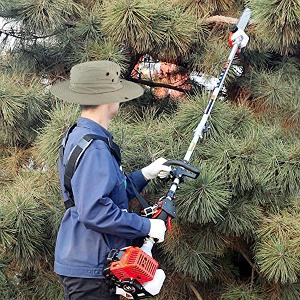 a gas pole saw